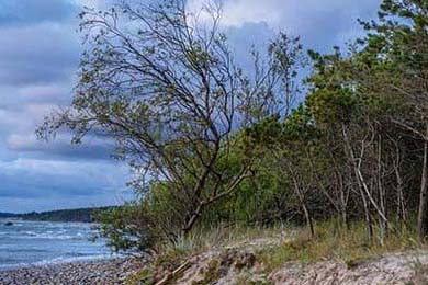 室外场馆智能化：引领未来足球场的技术革命，室外场馆英文